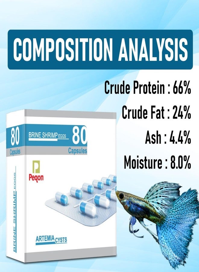 VAYINATO® Brine Shrimp Artemia Eggs Hatchery Vertical Incubator & Peqon Artemia Capsule 1 Strips (10 Capsules) by Petzlifeworld - Image 3